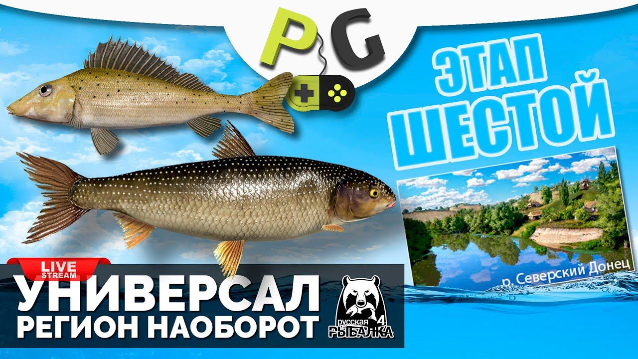 Русская Рыбалка 4 - Стрим Прокачка УНИВЕРСАЛА для 6-го этапа Стрим #11 Регион наоборот - Донец смотреть онлайн