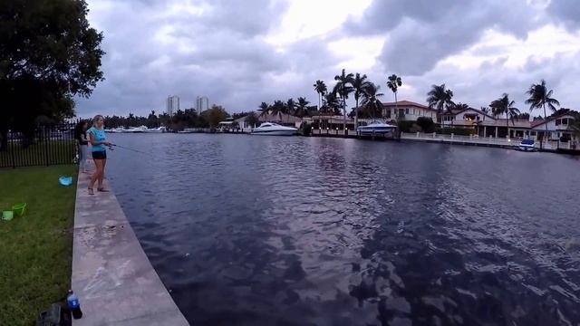 Рыбалка в Майами смотреть онлайн