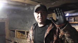 Как избавится быстро от пухоеда, пероеда и возможно от клещей у Курей.