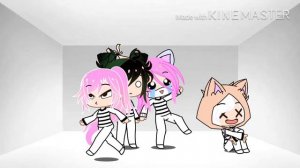 СМЕШНЫЕ МОМЕНТЫ ( Кошка Лана, Ева , Ульяна, Йоши.)