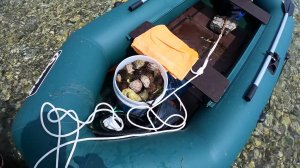 Морепродукты под ногами. Собираем морские деликатесы руками.