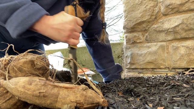 Dahlias vs Hydrangeas - E9-2020 смотреть онлайн