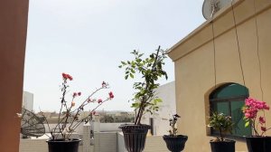 Увезли на скорой||Эта зараза и ко мне пришла ||Всем желаю только здоровья 💓