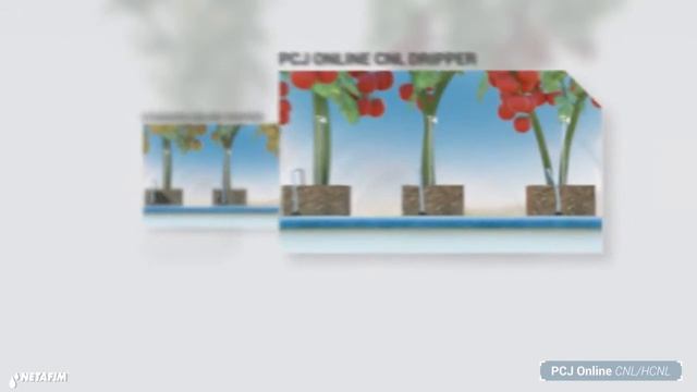 Капельницы PCJ (производство "Netafim", Израиль) смотреть онлайн