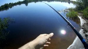 Ловля на гирлянду летом. Рыбалка в Беларуси 2021. Ловля плотвы, уклейки, густеры. Рыбалка на гирляд