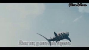 Перевод песни Jung Kook||Dreamers