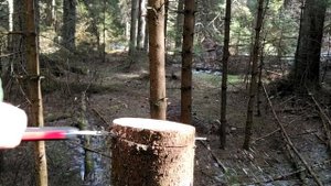 Пила Samurai FA-240-LH пилит сырую ель.