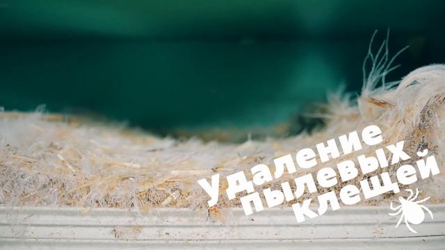 Реставрация подушек