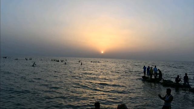 Nikon D5600 camera 18-55 mm смотреть онлайн