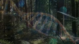 5 Минут и Тело Начнет Себя Лечить | Матрица Исцеления 396 Гц | Уничтожить Бессознательные Блокировк