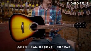 Обзор акустической гитары FLIGHT D-175 SB