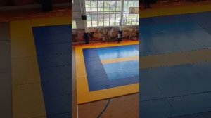 3 юношеский разряд по спортивной гимнастике.