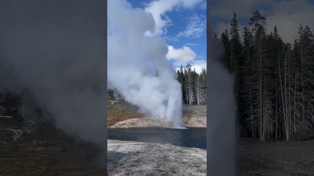 Riverside Geyser Yellowstone National Park