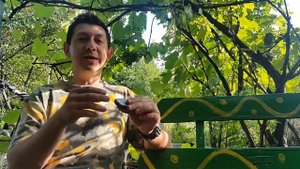 Горловое вибрато на губной гармошке  Урок № 55 Vibrato