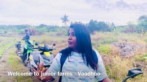 Local Island Visit to Vaadhoo, Gaafu Dhaalu Maldives I Junior farms I vegetable farming in Maldives