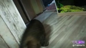 Ты просто друг))))!Like)))))