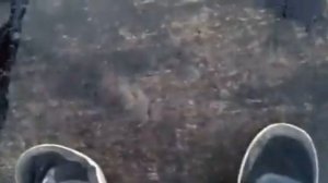 Братан я наступил на говно. Показываем нашу школу