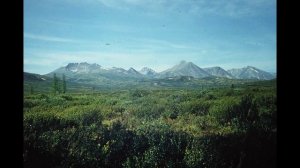 Фотографии. Саяны. 1978 г. Сплав по рекам Белин, Кызыл-Хем, Ка-Хем