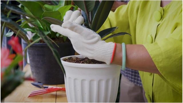 В ДЕКАБРЕ 2023. Лунный календарь огородника, садовода на декабрь 2023 смотреть онлайн