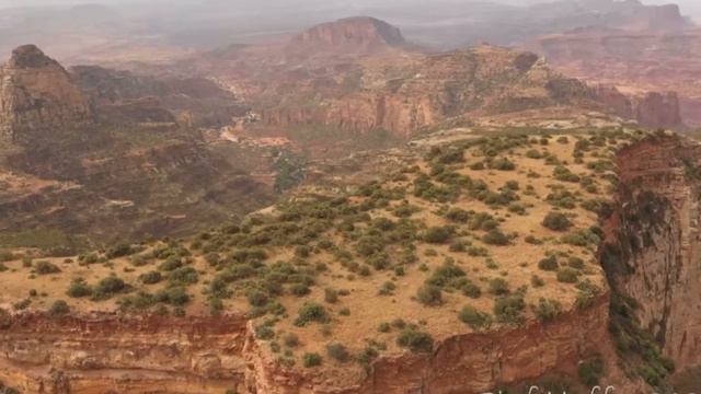 C1 about Africa смотреть онлайн