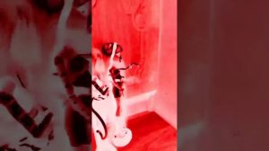 #Halloween#/ куклы монстер хай/ monster high