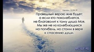 "Праведный верою жив будет". Д. Самарин. Проповедь. МСЦ ЕХБ.