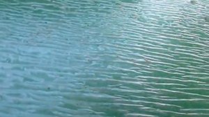 Самодельный минитрактор.Натяжитель ходовых ремней.