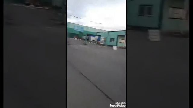Сумасшедшая лягушка Аксель официальное видео