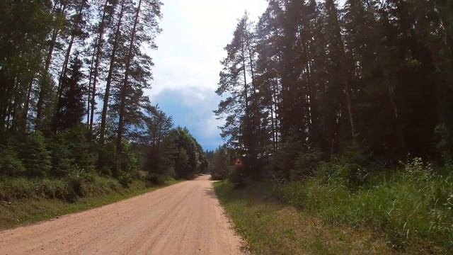 Верблюды в Латвии. Посещение верблюжьего парка.