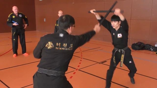 2023 TKDD Seminar in Germany Part 1 смотреть онлайн