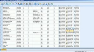 Ввод данных в SPSS ч 1