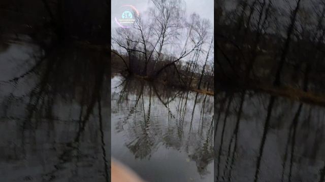Мормышинг на р.Десна , ноябрь раздаёт ! #рыболовтроицк