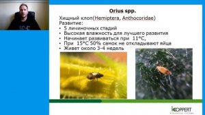 Биологическая борьба с трипсом