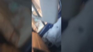Снятие переднего фонаря (плафона подсветки) место водителя Мерседес Спринтер Mercedes Sprinter 906