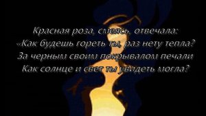 Черная роза - символ печали....