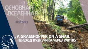 A grasshopper on a snail - Переход кузнечика через улитку // Основная Вселенная