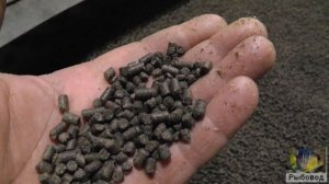 Рыбный корм высокого качества ! High quality fish feed