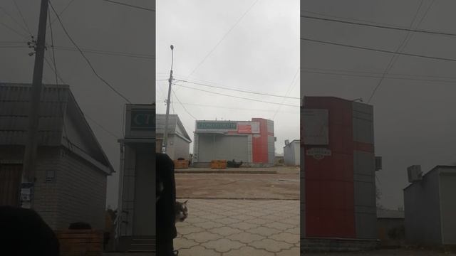 купил корм котикам они очень голодні☹️? смотреть онлайн