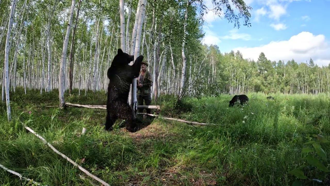 Буржуй не желает быть конём. Медведь. смотреть онлайн