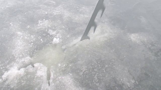 Пила для льда Laxstrom wood - Лакстром деревянная ручка Финляндия ( #saw , #saha ) 6418252600222 смотреть онлайн