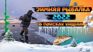 Зимняя рыбалка на щуку. Ловля судака на блесну. Рыбалка 2022. В поисках хищника.