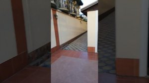 2019 Лазаревское, Отель Лазурное окно   у отеля.