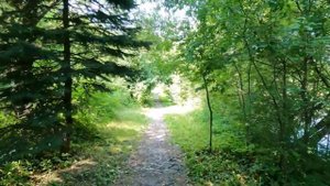 42. Зеленоград. Никольский пруд. Июль. 2021.