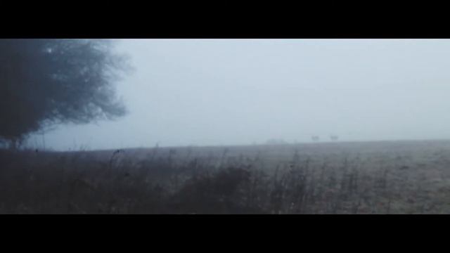 Winter Mist - Canon 1100D Cinematic смотреть онлайн
