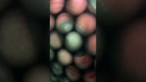 Sony LBT-XG500 Bass Test