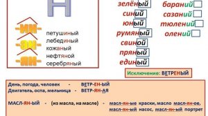 РЯ 6 класс Н и НН в именах прилагательных