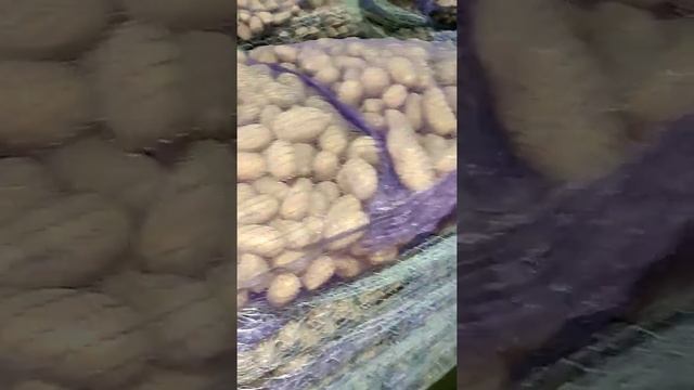 Картофель оптом из Брянска, сорт Королева Анна