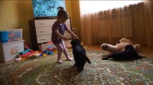 Щенки ВЕО. Питомник "Войско Арагорна"