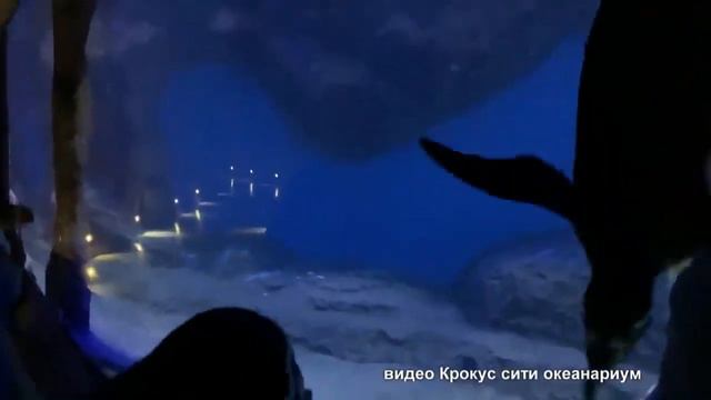 Загадки эволюции  от динозавра до птицы