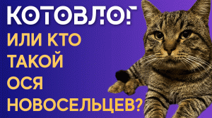 КОТОВЛОГ | Ося Новосельцев